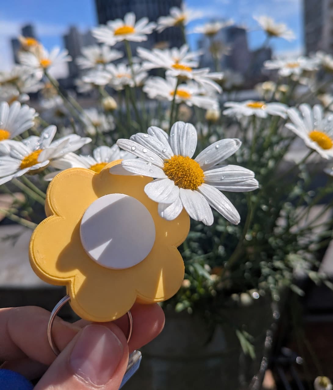 Yellow Faerd Lock Charm held up against daisies and a city skyline